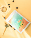 🎁 Tisane Anti-Sucre (100% off)